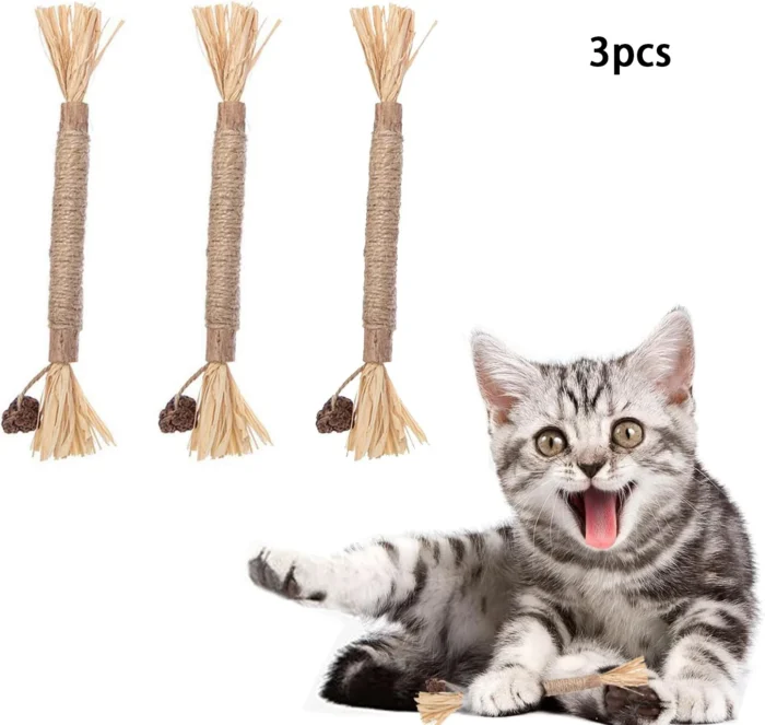 Catnip Cat Toys Natural Matatabi Pet Cat Snacks Stick Cleans Tooth Removers Hair to Promote Digestion Silvervine Kitten Chew Toy