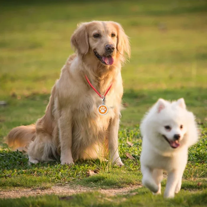 Multi Functional QR Code Metal Dog Tag Keychain Free Customization Exclusive Information Phone Address Anti Loss Durability