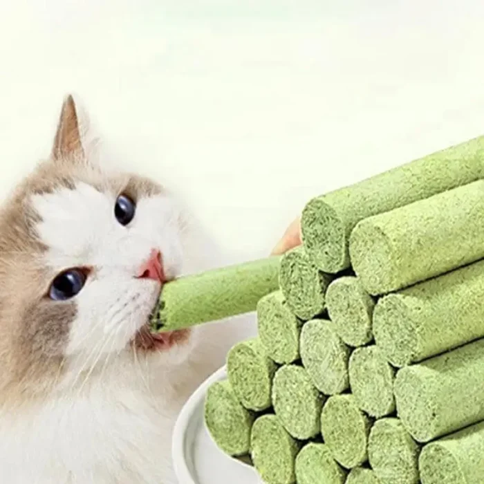 Cat Grass Sticks Freeze Dried Snacks Catnip Biscuits Teething Digestive Aid Scientific Ratio Nutrition Fattening Pet Foods